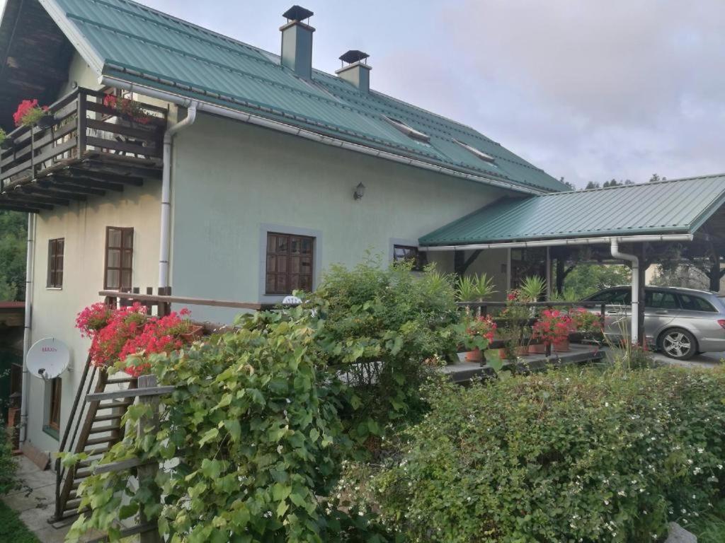 פוז'ינה Apartman Sipak מראה חיצוני תמונה