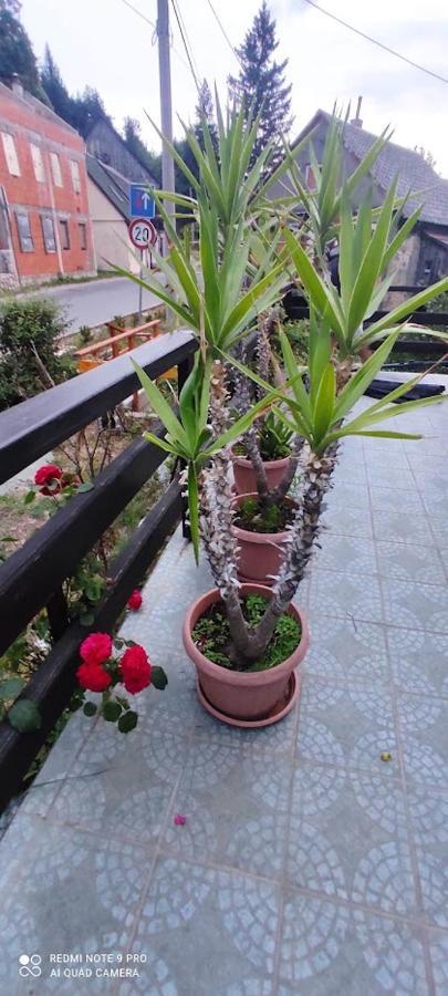 פוז'ינה Apartman Sipak מראה חיצוני תמונה