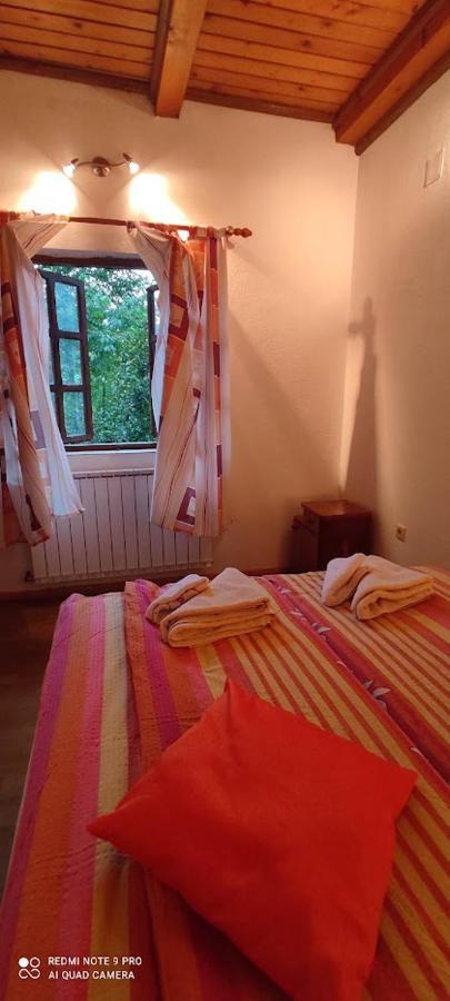 פוז'ינה Apartman Sipak מראה חיצוני תמונה